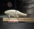 Gaston Gizzard Shad