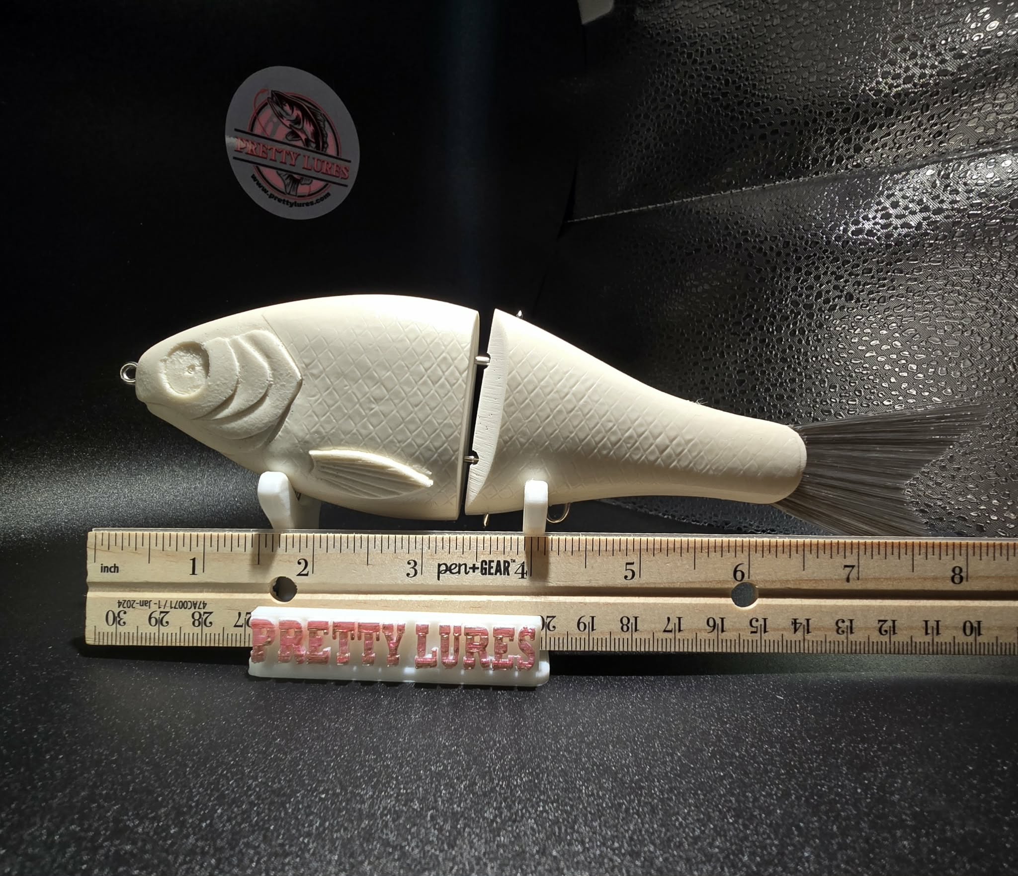 Gaston Gizzard Shad