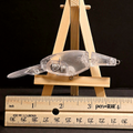 MD segmented Crankbait