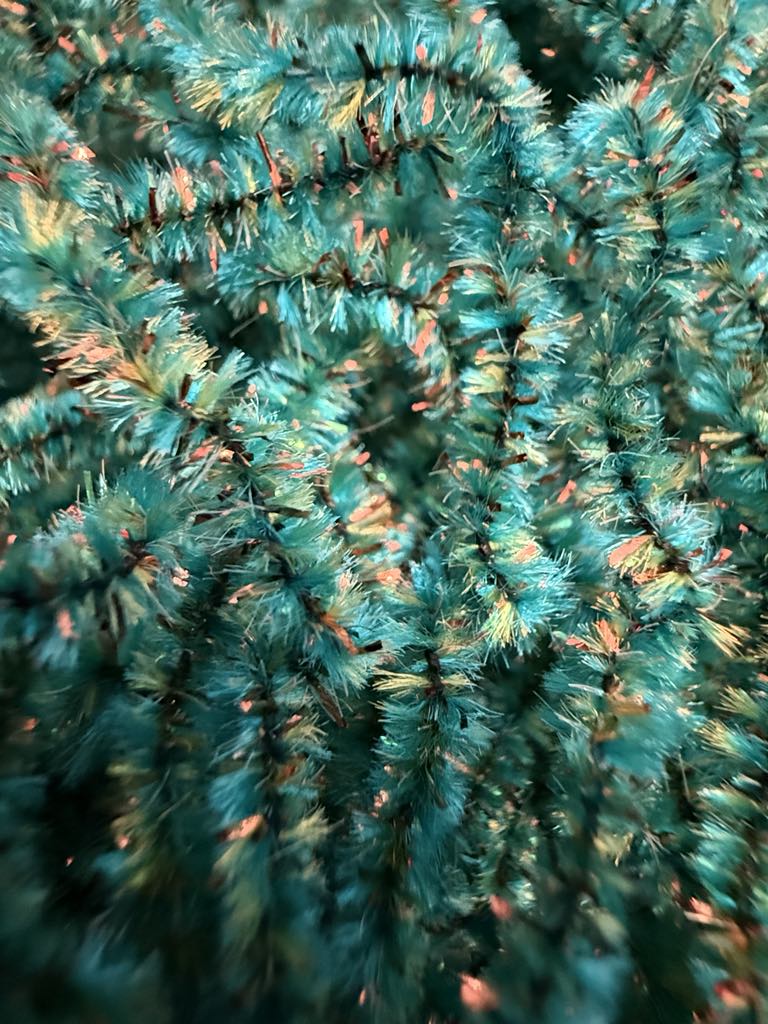 PL Exclusive New Age Chenille