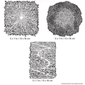 FHTFX2MS Artool Texture FX 2 Mini Series Set Freehand Airbrush Template by Gerald Mendez