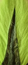 Full Buck tail