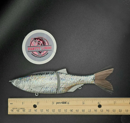 6" Slim Shad Glide