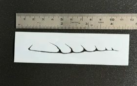 Pretty Lures Stencils