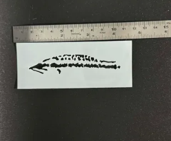 Pretty Lures Stencils
