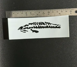 Pretty Lures Stencils