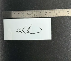 Pretty Lures Stencils