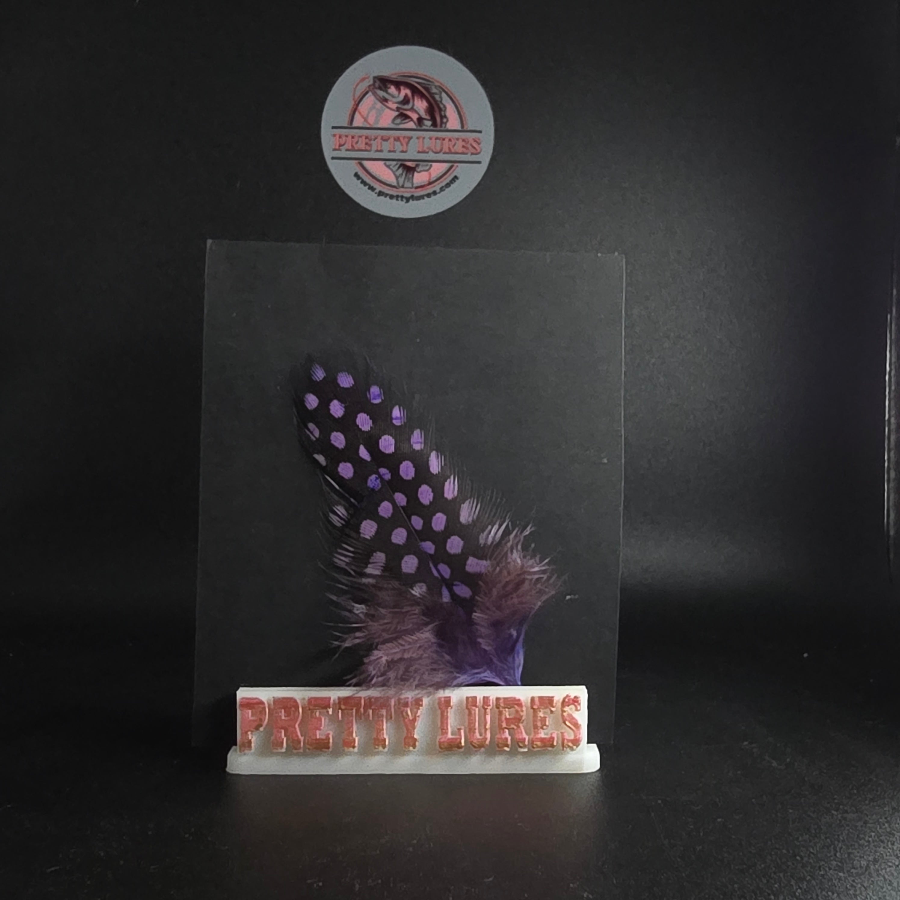 GUINEA HACKLE