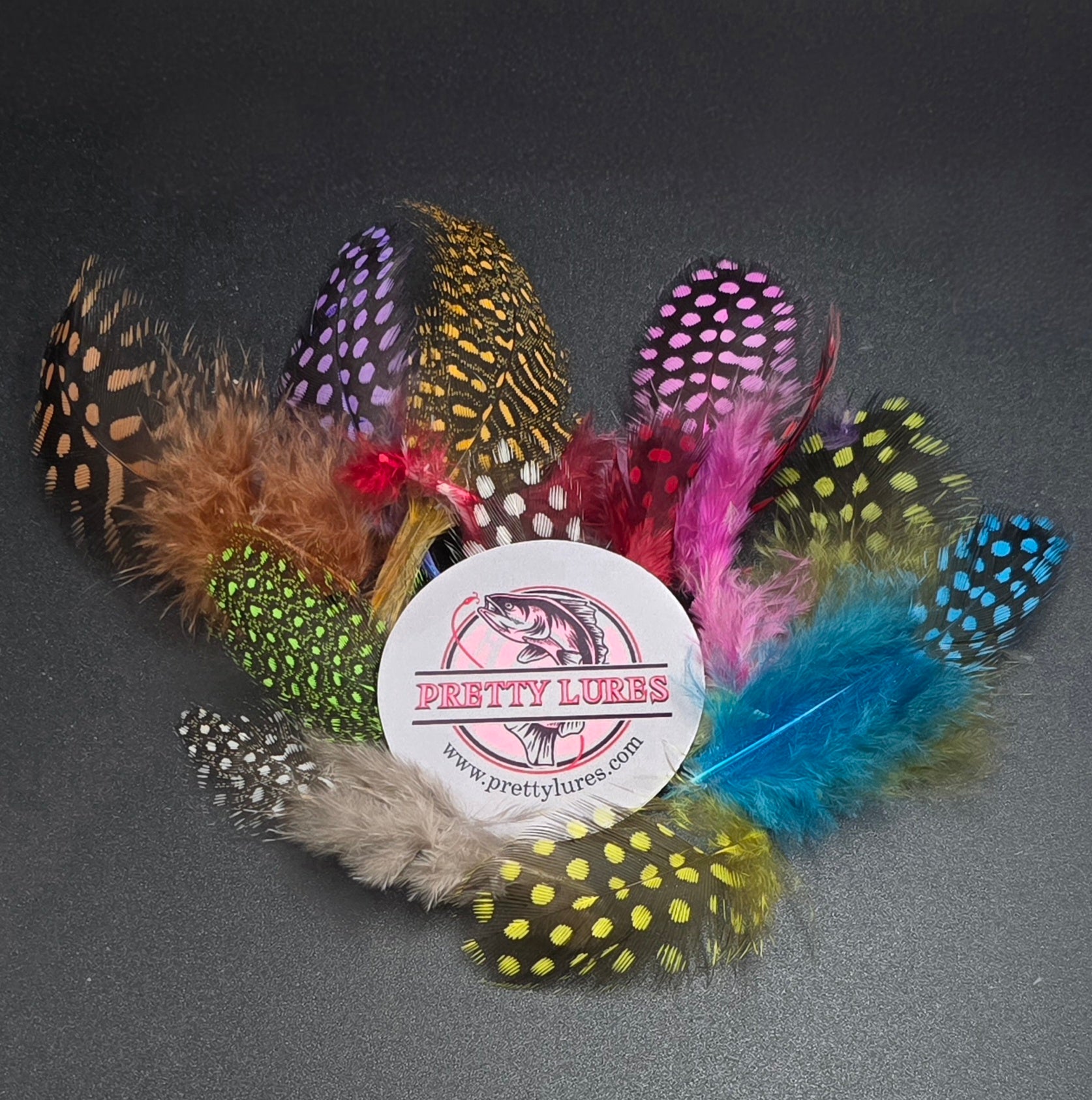 GUINEA HACKLE