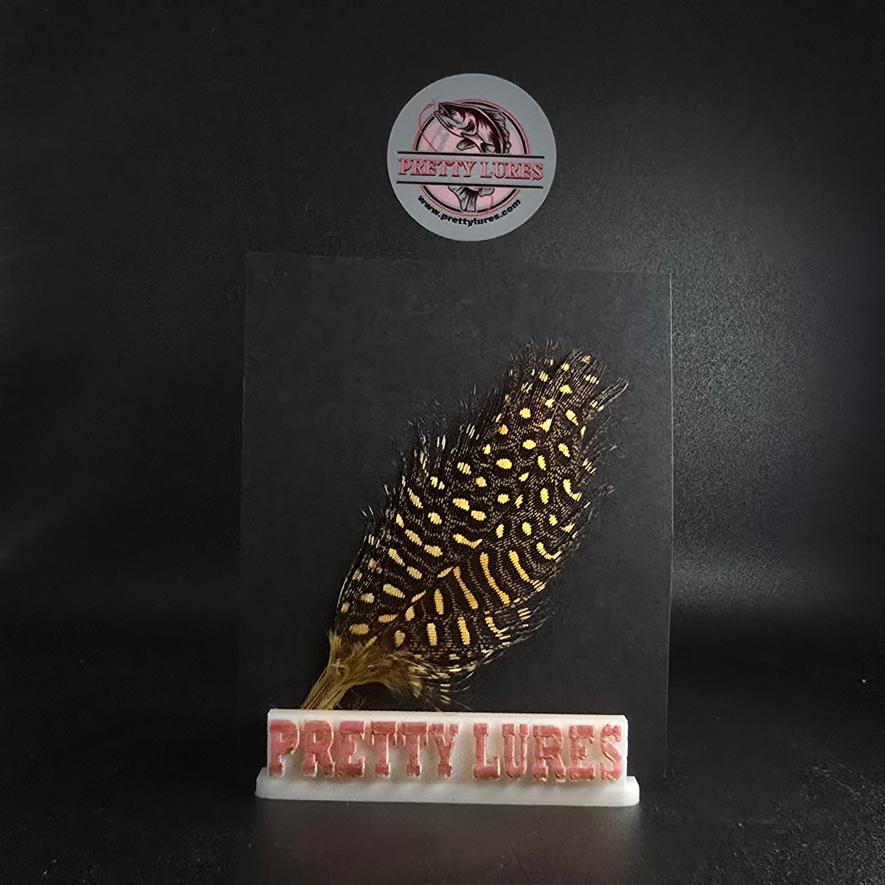 GUINEA HACKLE