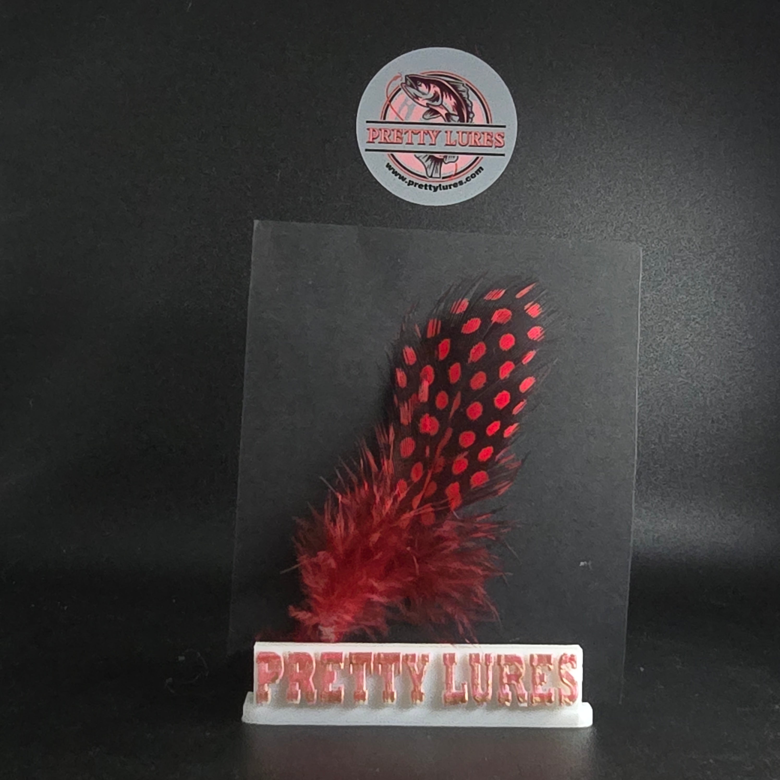 GUINEA HACKLE