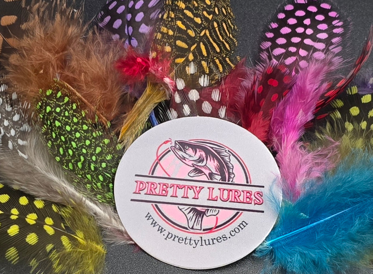 GUINEA HACKLE