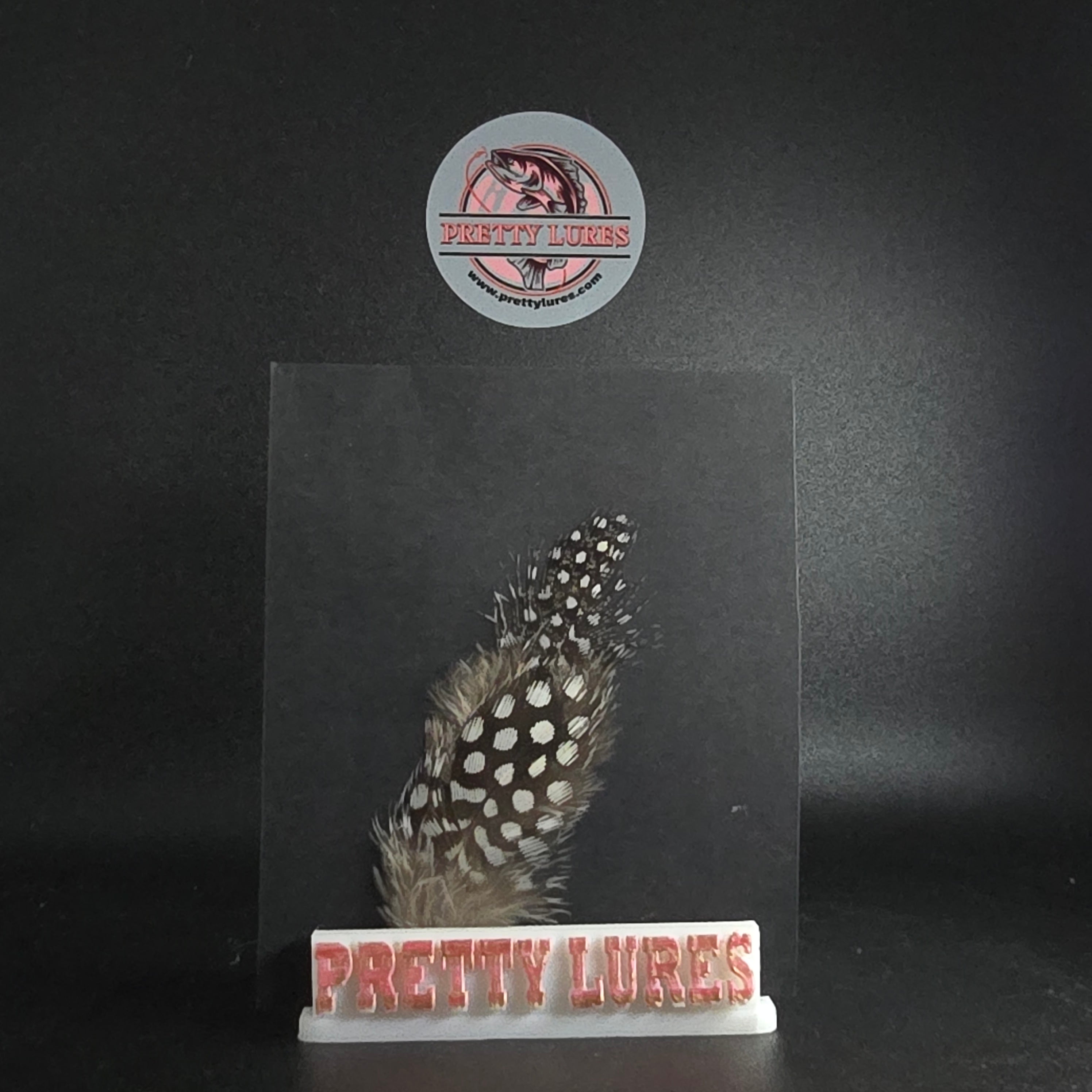 GUINEA HACKLE