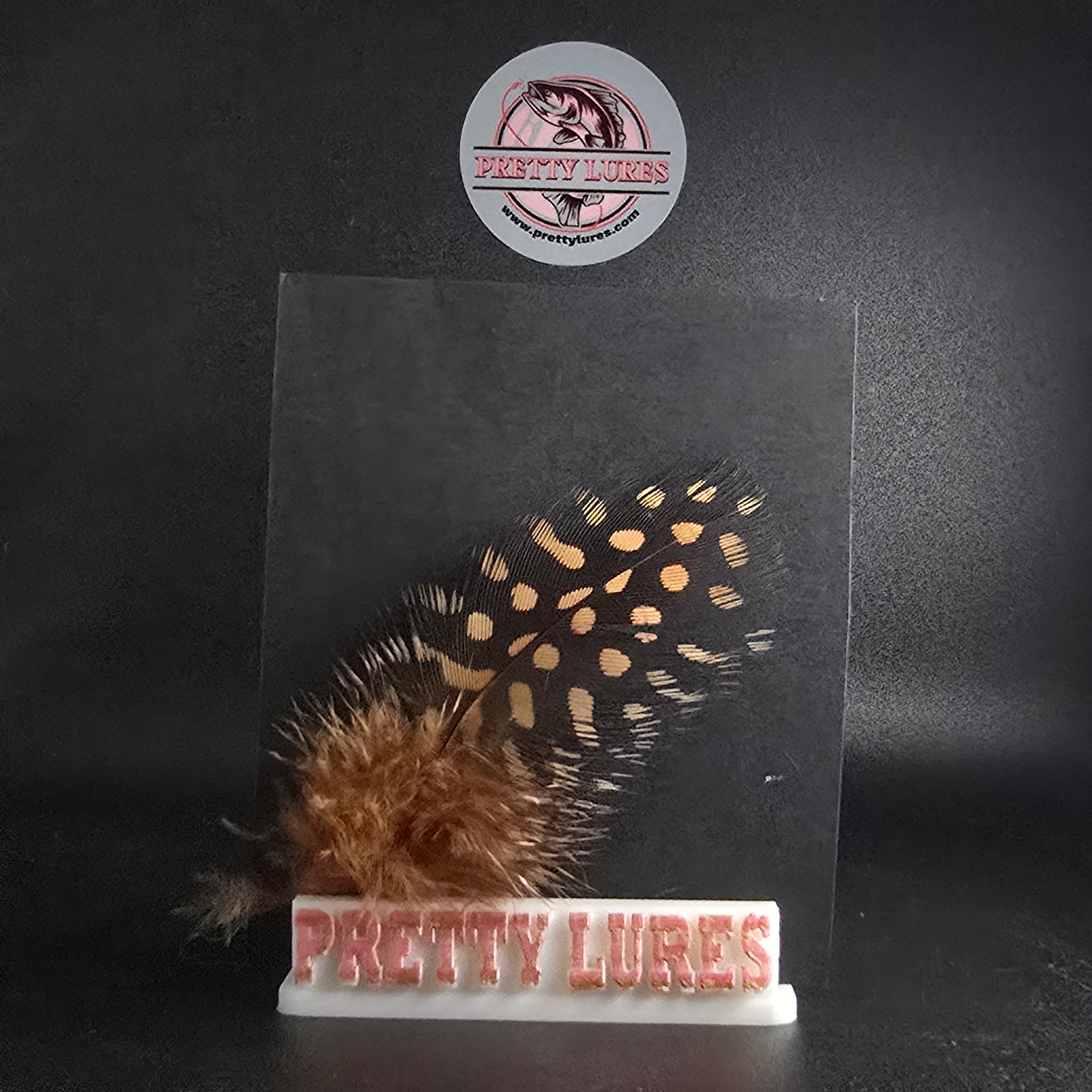 GUINEA HACKLE